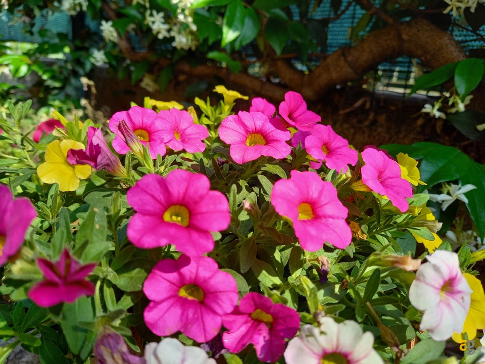 recensione-samsung-galaxy-a41