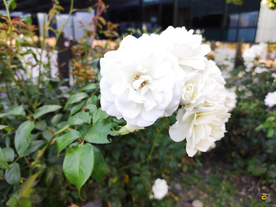 recensione-xiaomi-mi-note-10-lite