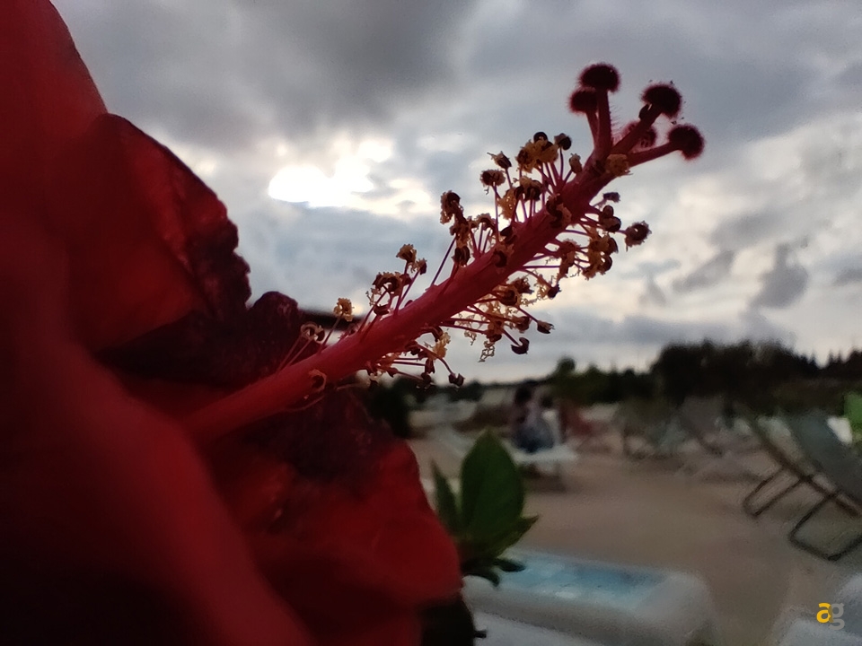 recensione-oneplus-nord