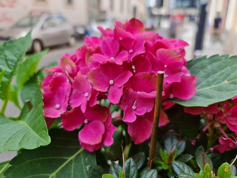 recensione-samsung-galaxy-note-20-ultra