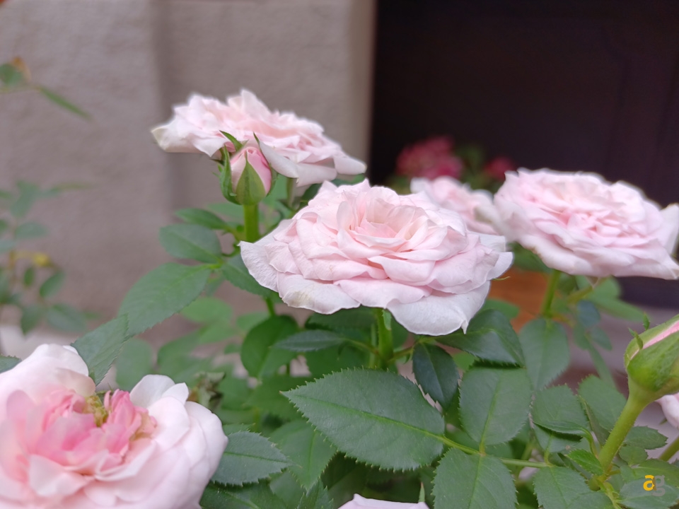 recensione-ulefone-armor-9