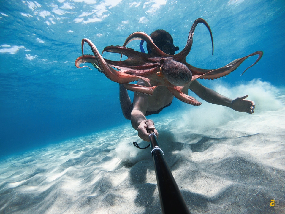 gopro-hero-9-black-ufficiale-caratteristiche-e-prezzo