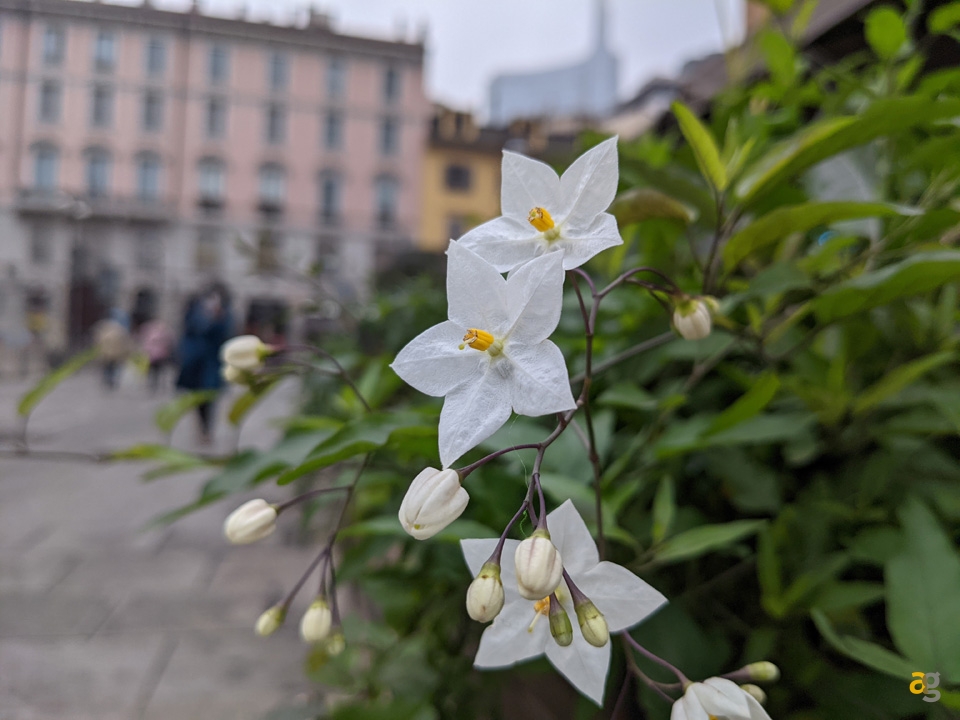 recensione-google-pixel-5