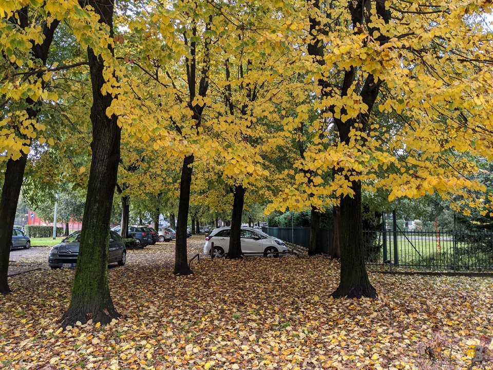 recensione-google-pixel-5