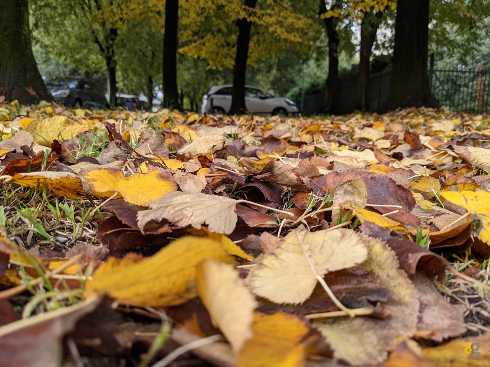 recensione-google-pixel-5