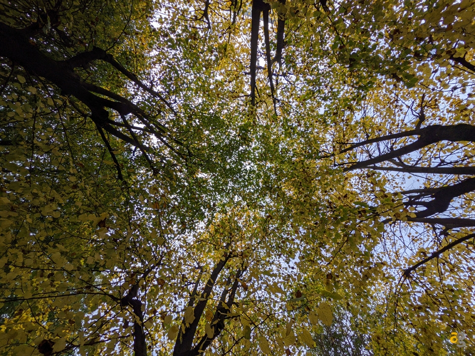 recensione-google-pixel-5