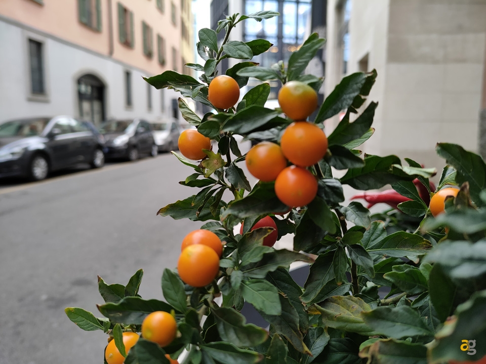 recensione-realme-7-pro