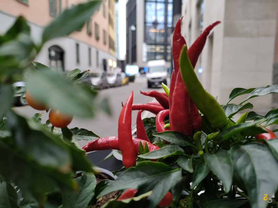 recensione-realme-7-pro