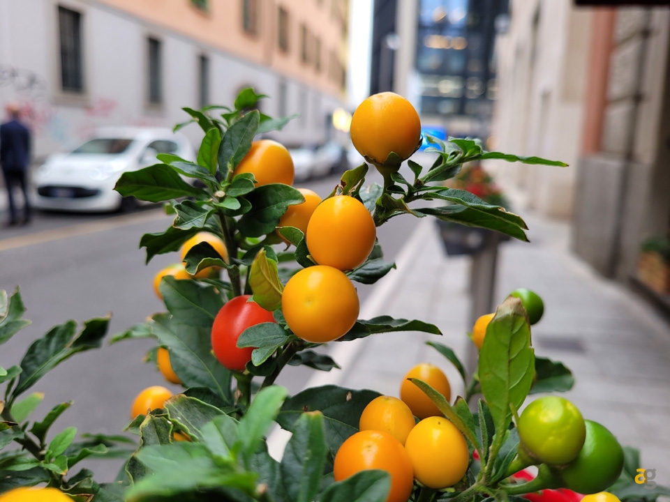 recensione-samsung-galaxy-s20-fe-5g