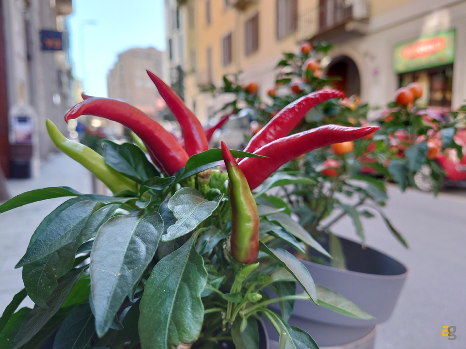 recensione-sony-xperia-5-ii-2