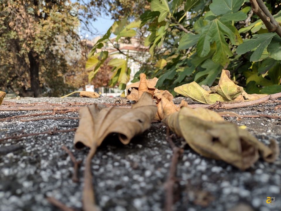 recensione-moto-e7-plus