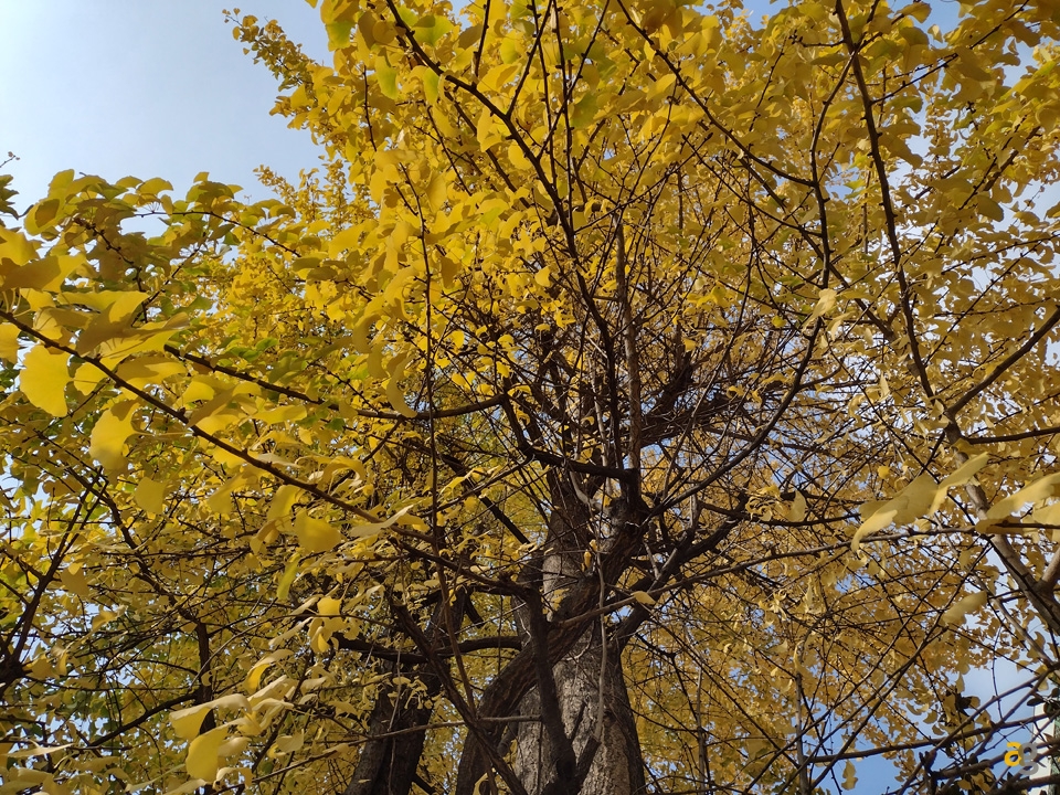 recensione-moto-e7-plus