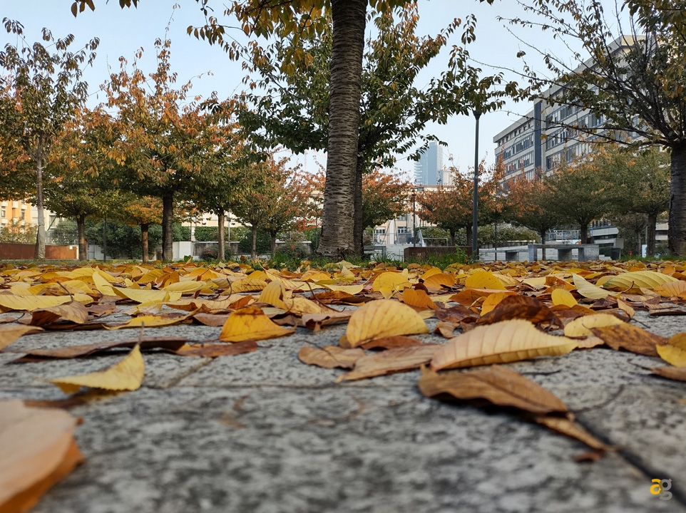 recensione-moto-g9-plus