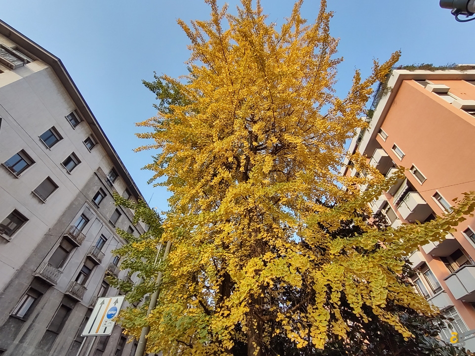 recensione-moto-g9-plus