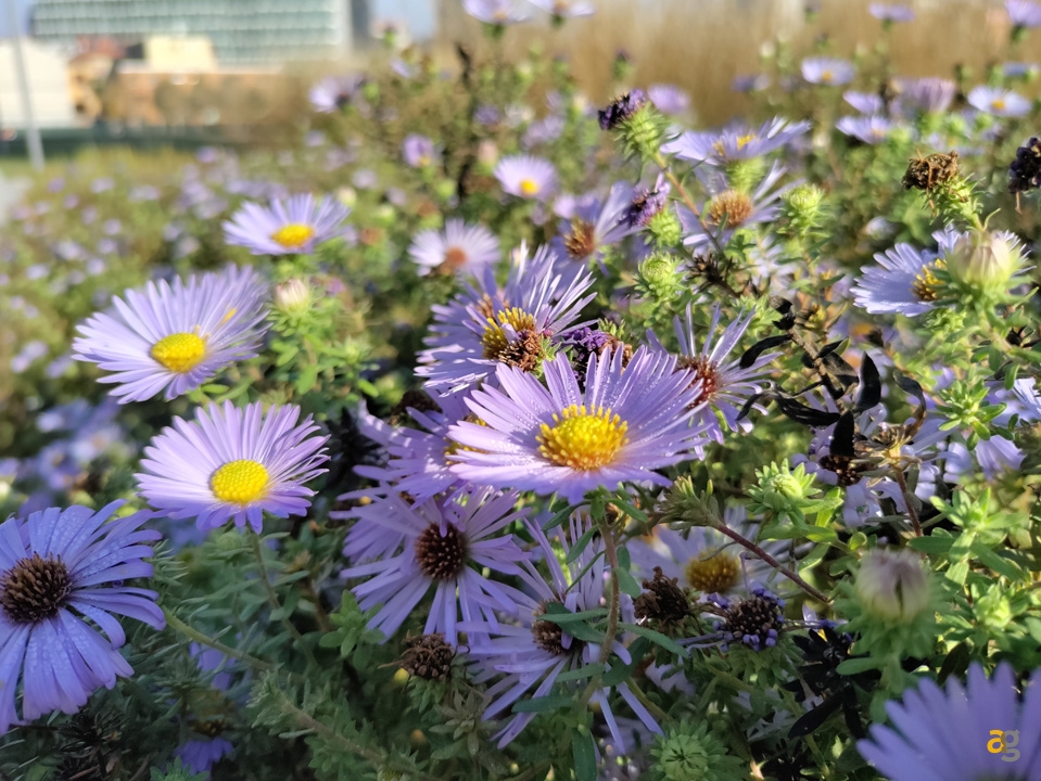 recensione-oneplus-nord-n10-5g