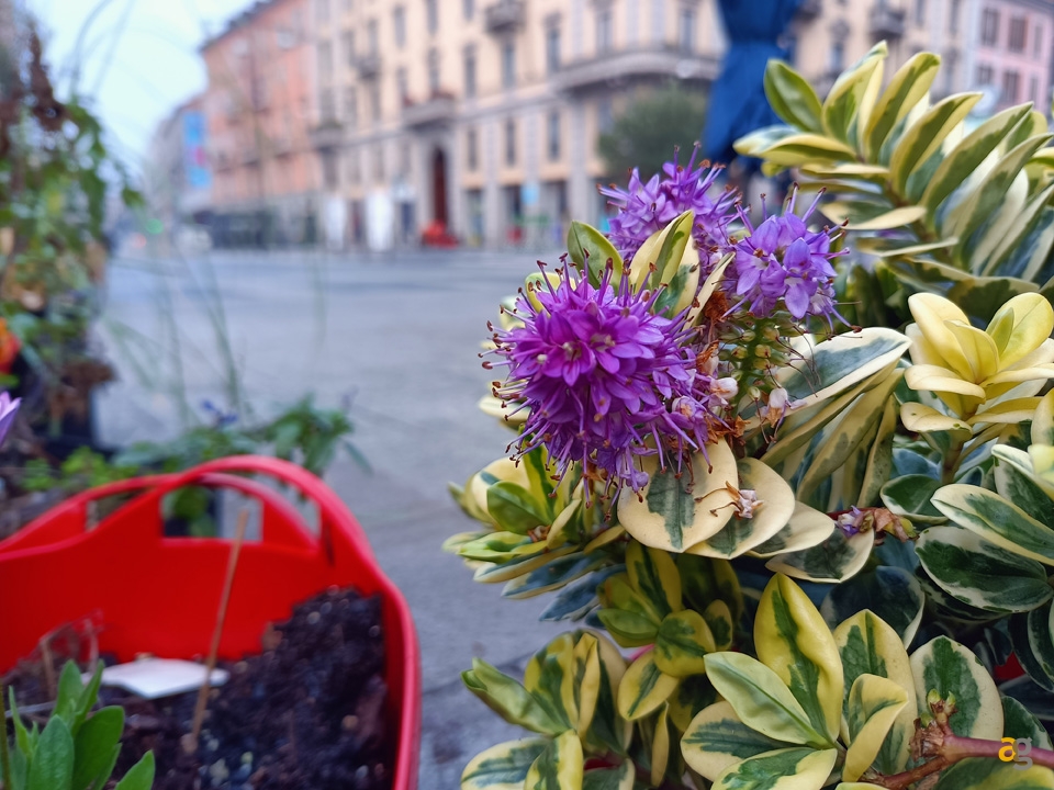 recensione-realme-7-5g