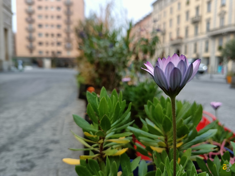 recensione-realme-7-5g