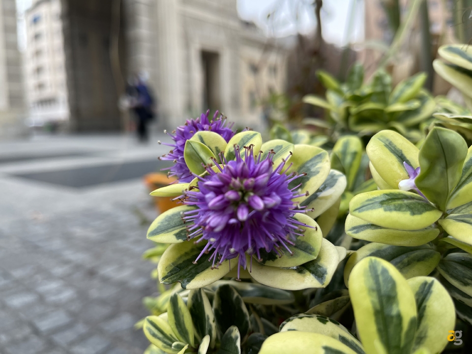 recensione-iphone-12-pro-max