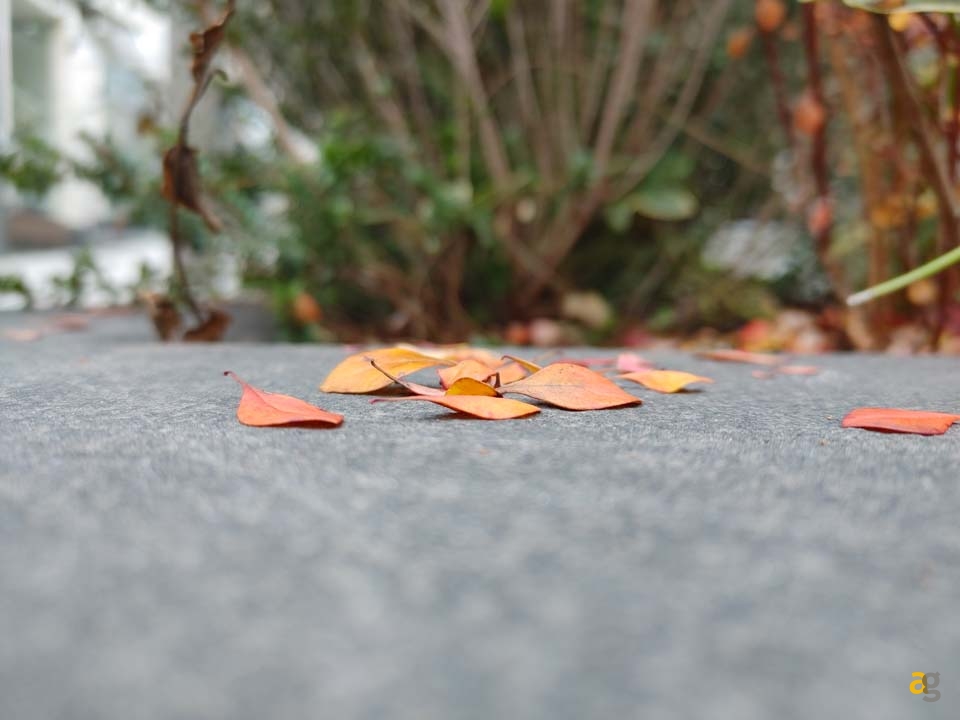 confronto-top-di-gamma-secondo-semestre-2020