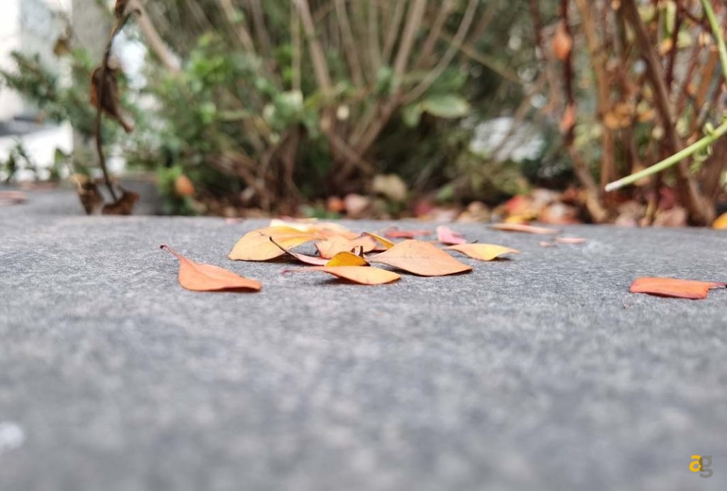 confronto-top-di-gamma-secondo-semestre-2020