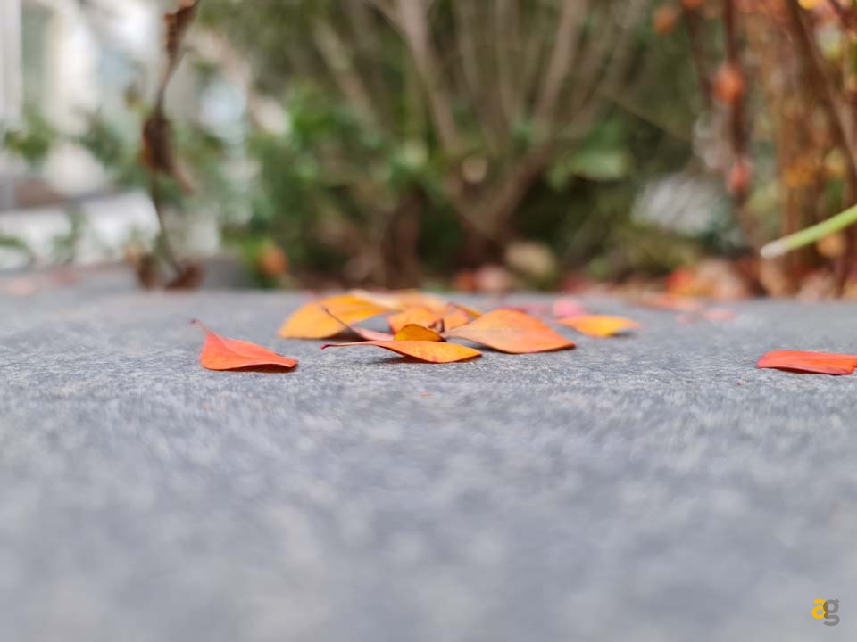 confronto-top-di-gamma-secondo-semestre-2020