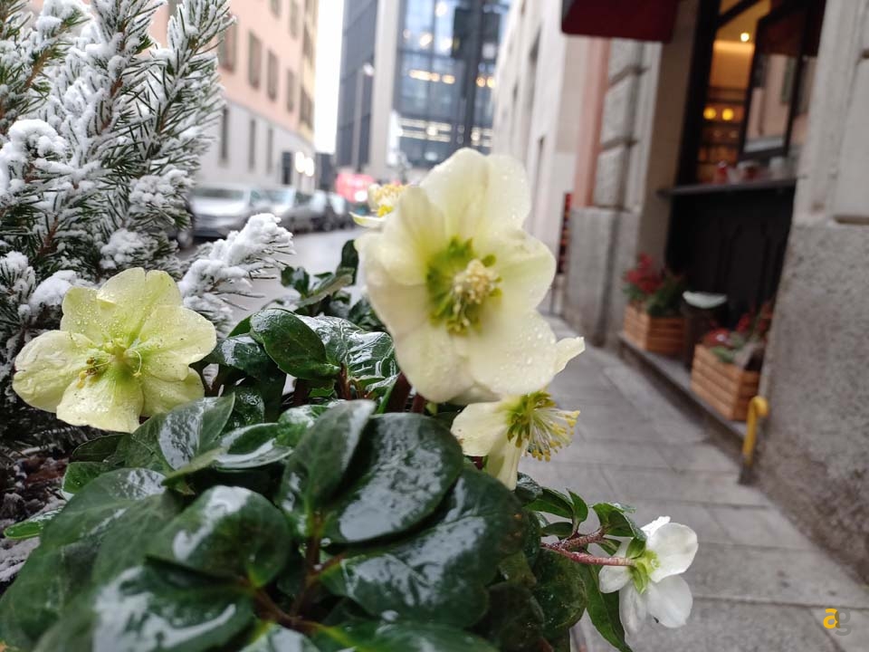 recensione-realme-7i