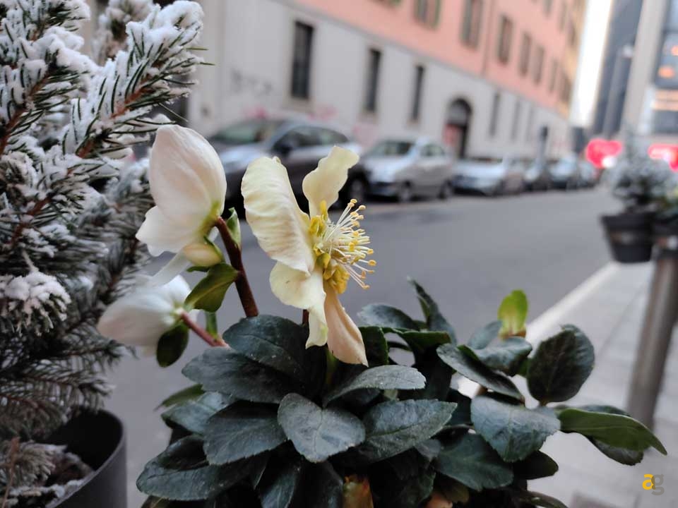 recensione-zte-axon-20-5g