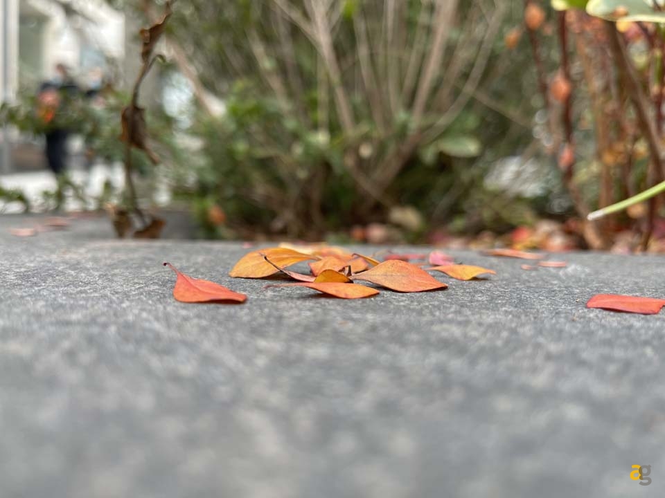 confronto-top-di-gamma-secondo-semestre-2020