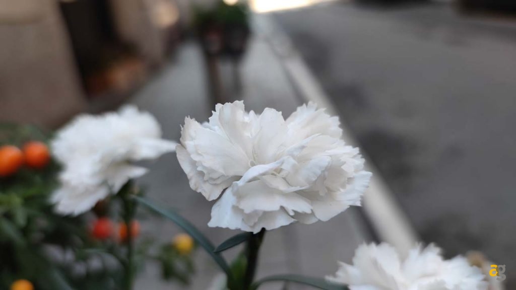 recensione-xiaomi-mi-11