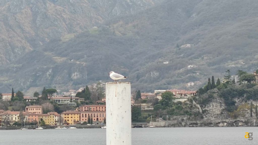 recensione-xiaomi-mi-11