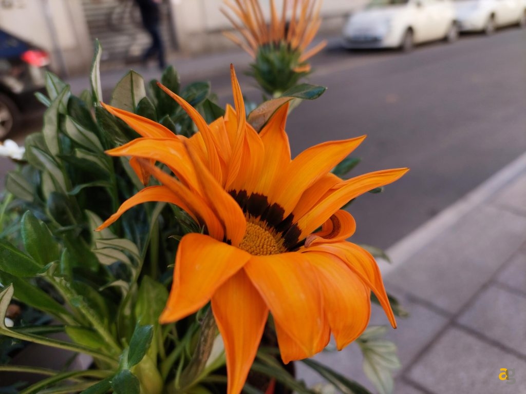 galaxy-a52-a52-5g-a72-prezzo-specifiche-disponibilita