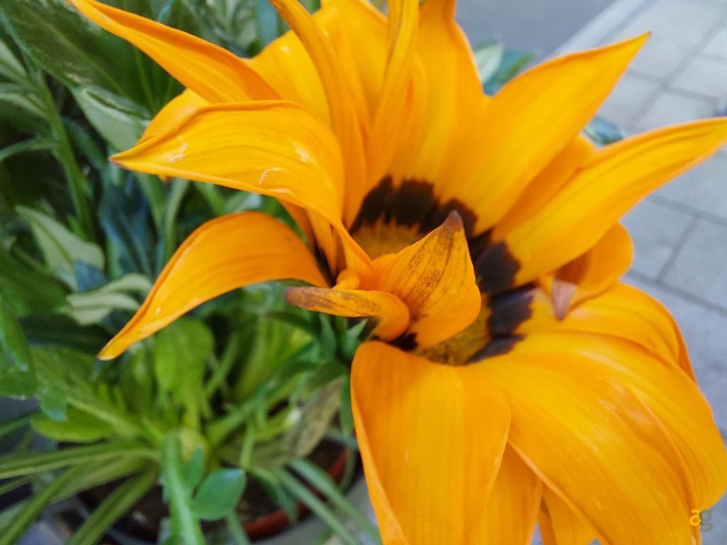 galaxy-a52-a52-5g-a72-prezzo-specifiche-disponibilita