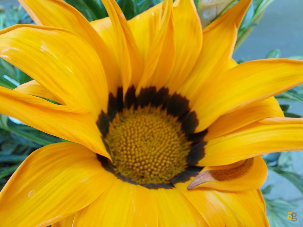 galaxy-a52-a52-5g-a72-prezzo-specifiche-disponibilita