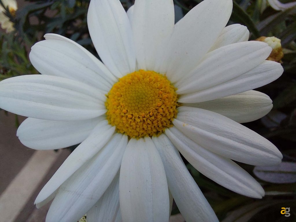 galaxy-a52-a52-5g-a72-prezzo-specifiche-disponibilita