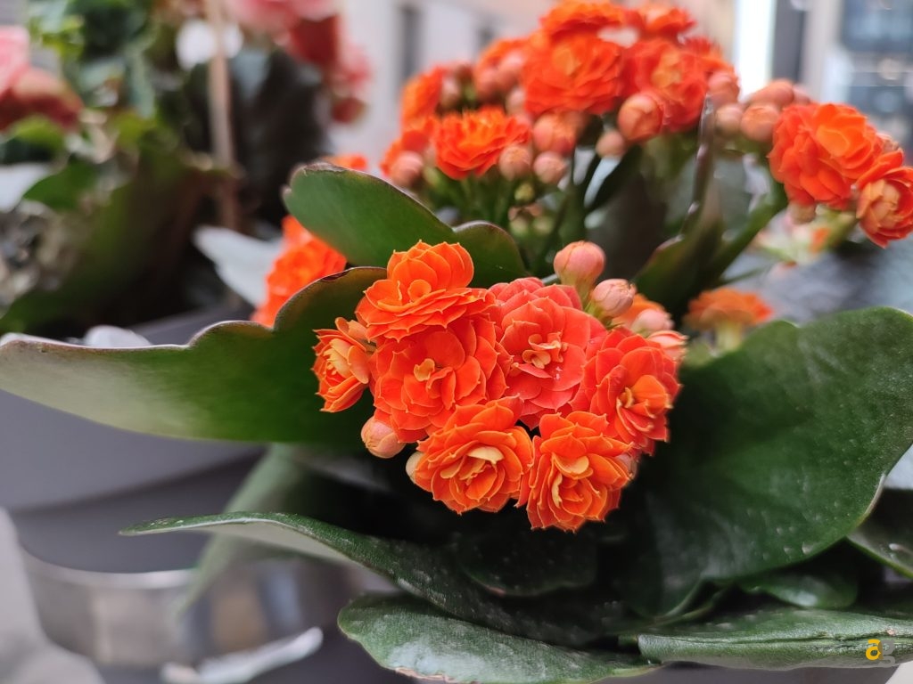 recensione-redmi-note-10-pro