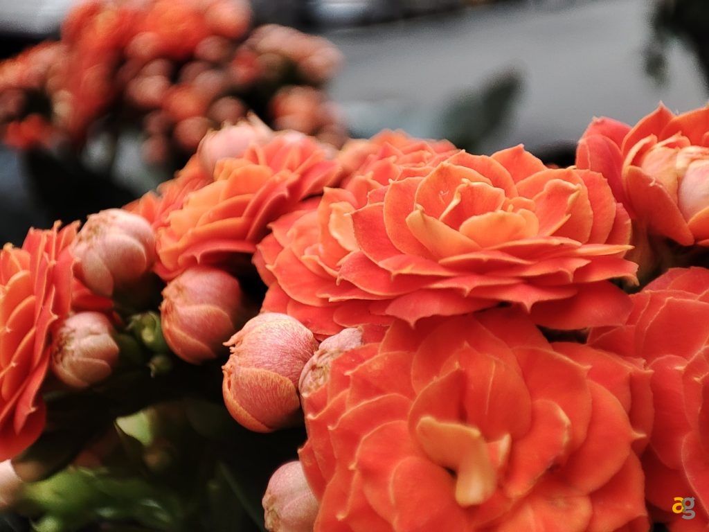 recensione-redmi-note-10-pro