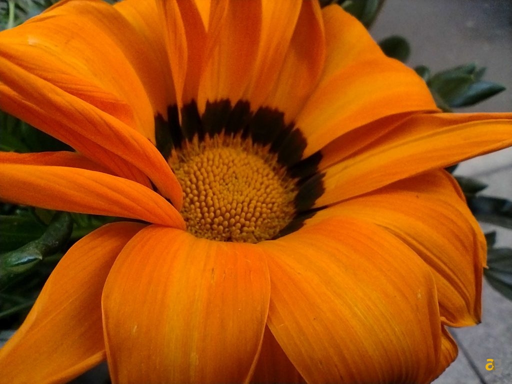 recensione-motorola-moto-g30