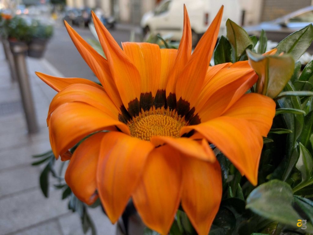 recensione-motorola-moto-g30