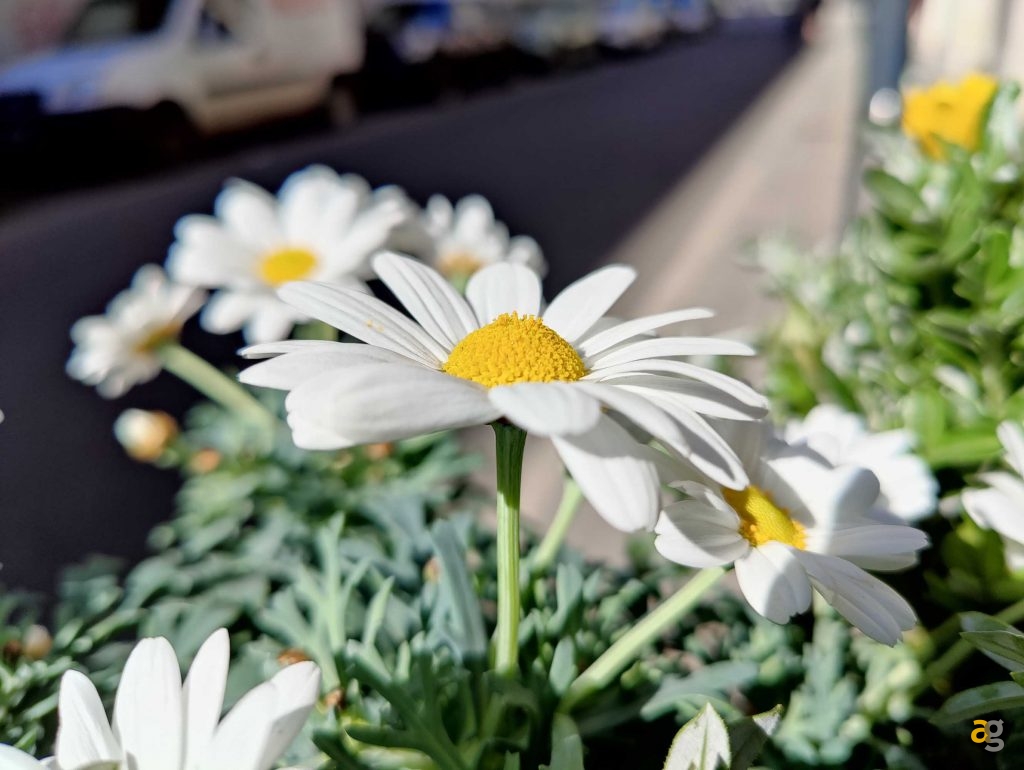 recensione-oneplus-9-pro