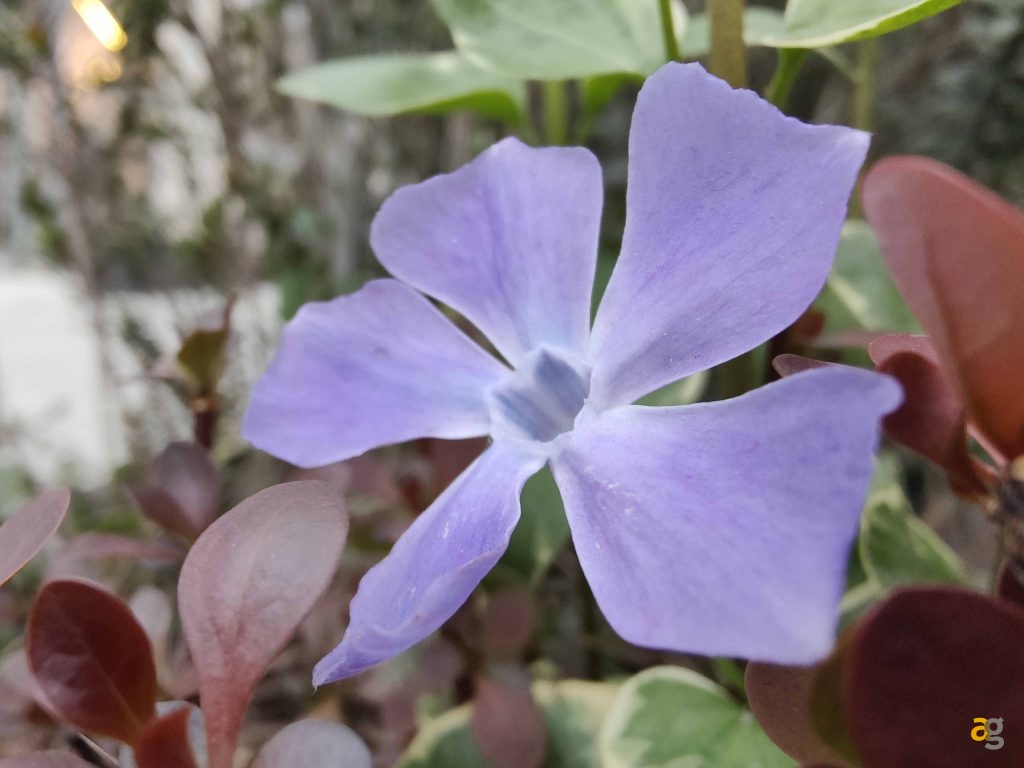 recensione-oppo-find-x3-pro-5g