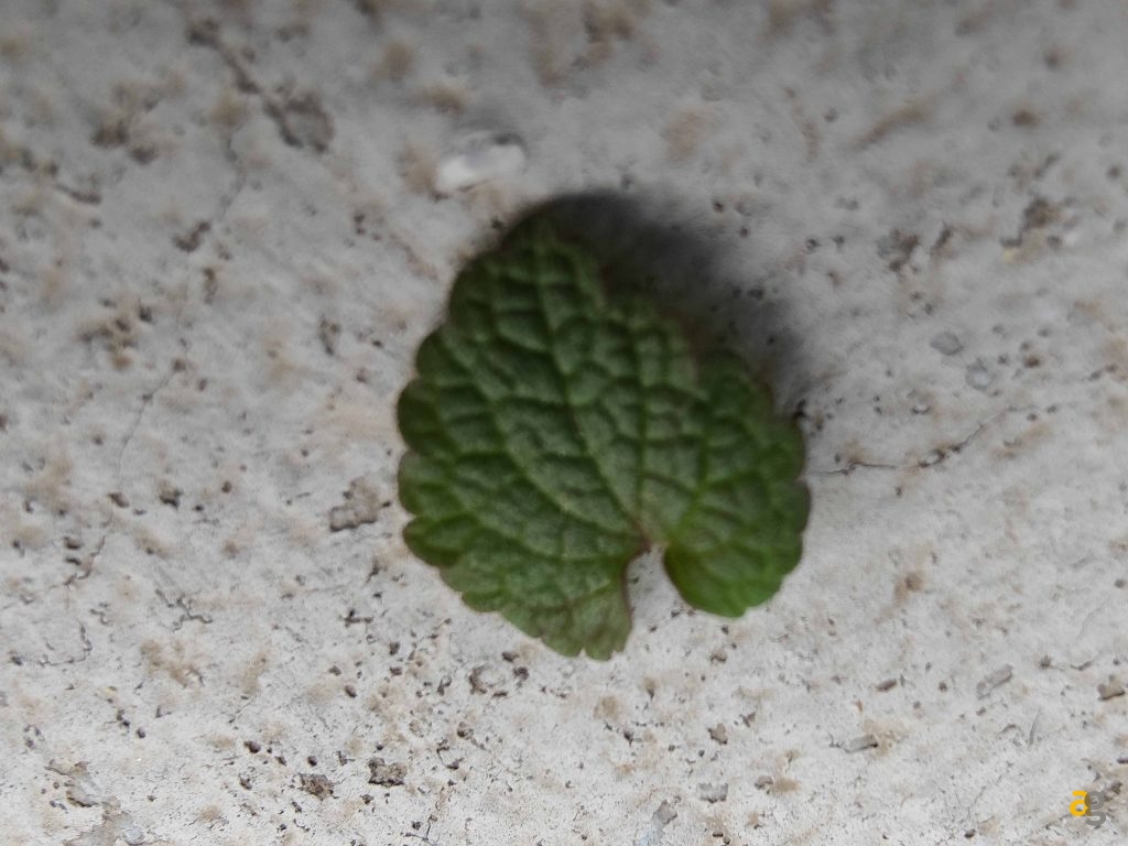 recensione-oppo-find-x3-pro-5g