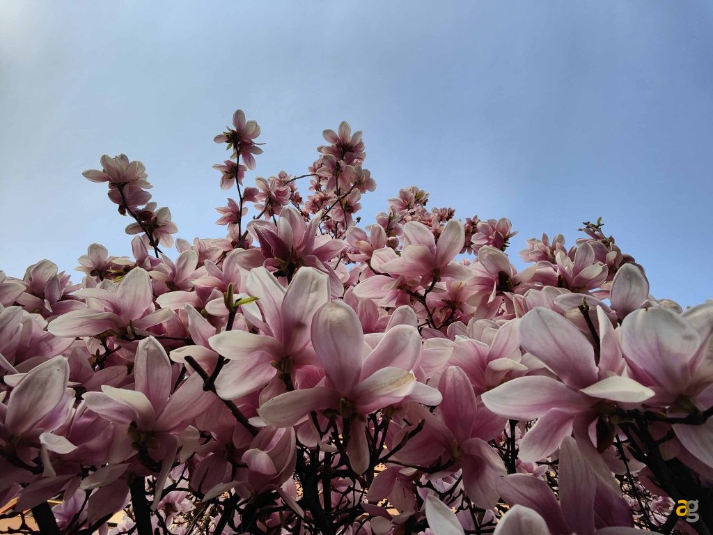 recensione-oppo-find-x3-pro-5g