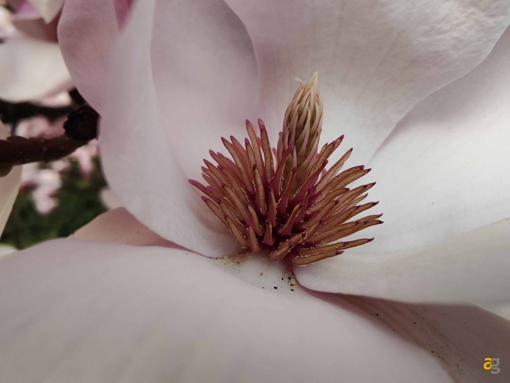 recensione-oppo-find-x3-pro-5g