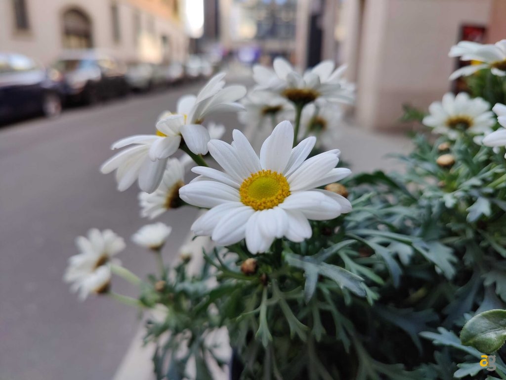 recensione-oneplus-9