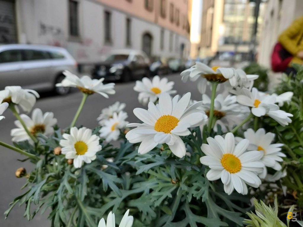 recensione-oppo-find-x3-lite-5g