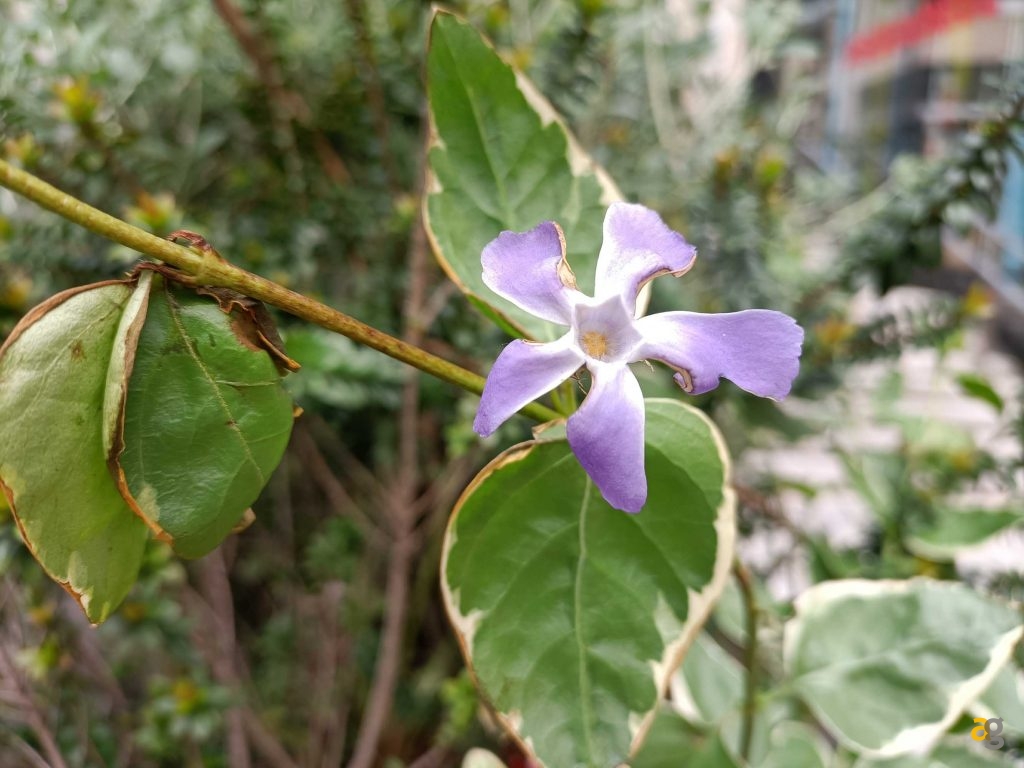 recensione-oppo-a94-5g