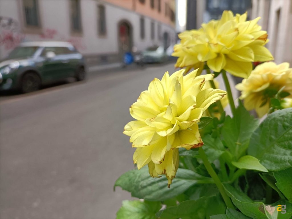 recensione-oppo-a94-5g