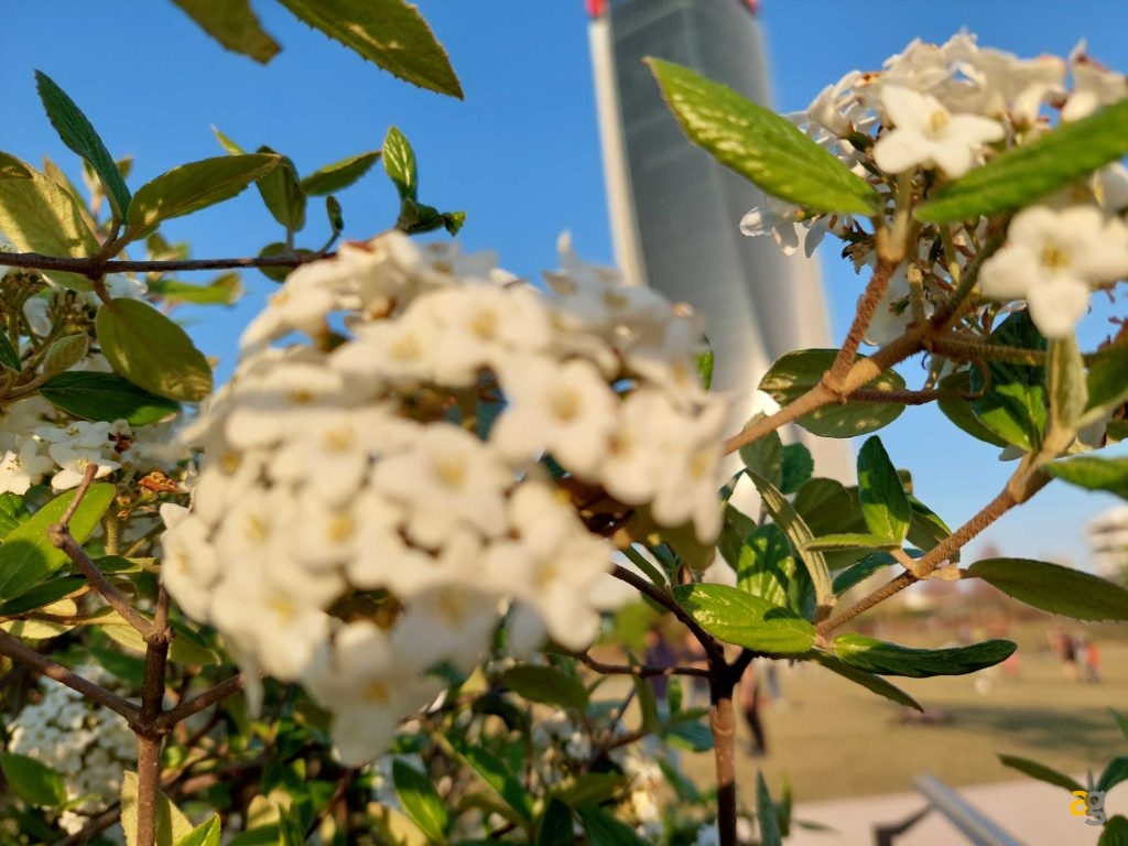 recensione-samsung-galaxy-a72