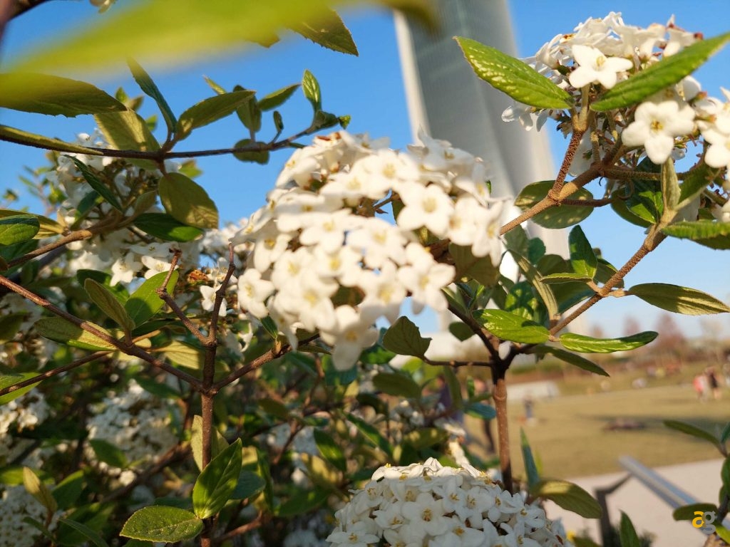 recensione-samsung-galaxy-a72