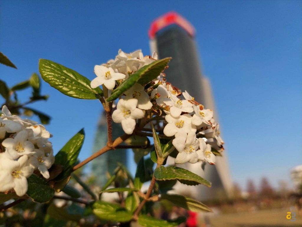 recensione-samsung-galaxy-a72